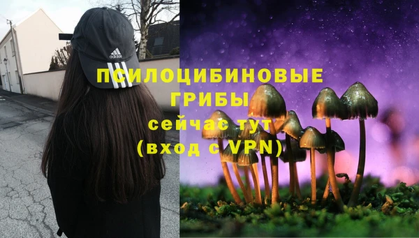 а пвп мука Абаза