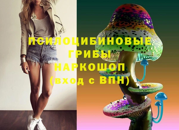 2c-b Мегион